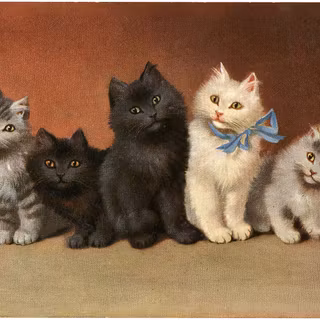 Vintage cat wallpaper