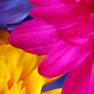 Sharp Aquos wallpaper