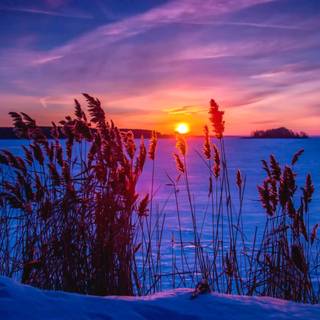 Winter sunset desktop wallpaper