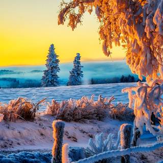 Winter sunset desktop wallpaper