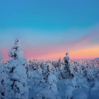 Winter sunset iPhone wallpaper