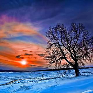 Winter sunset desktop wallpaper