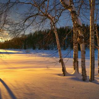 Winter sunset desktop wallpaper