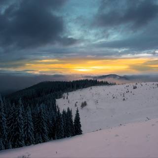 Winter sunset desktop wallpaper