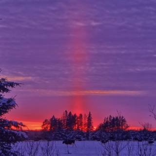 Winter sunset iPhone wallpaper