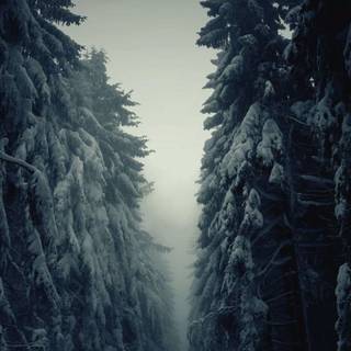 Dark winter landscape wallpaper