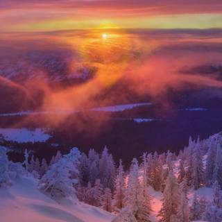 Winter sunset iPhone wallpaper