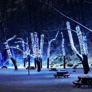 Night light winter wallpaper