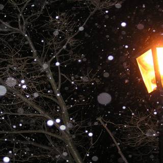 Night light winter wallpaper