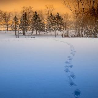 Winter sunset iPhone wallpaper