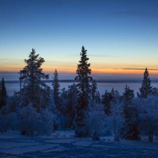 Dark winter landscape wallpaper