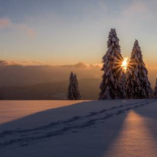 Winter sunset desktop wallpaper