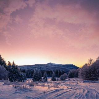 Winter sunset iPhone wallpaper