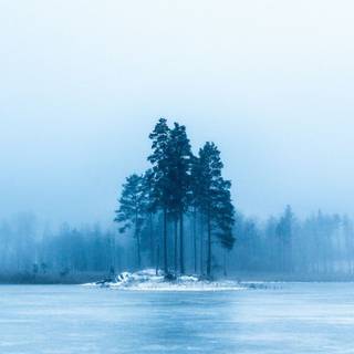 Winter sunset iPhone wallpaper