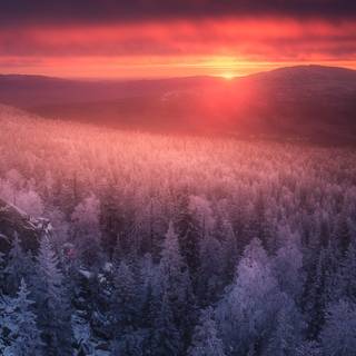 Winter sunset iPhone wallpaper