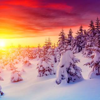 Winter sunset desktop wallpaper