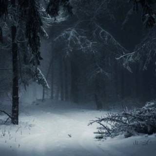 Dark winter landscape wallpaper