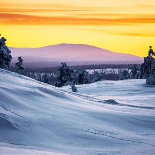 Winter sunset iPhone wallpaper