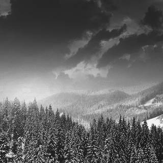 Dark winter landscape wallpaper