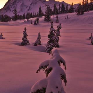 Winter sunset iPhone wallpaper