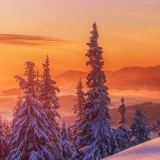 Winter sunset iPhone wallpaper