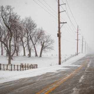 2024 winter wallpaper