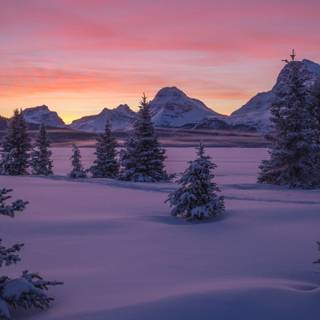 Winter sunset iPhone wallpaper