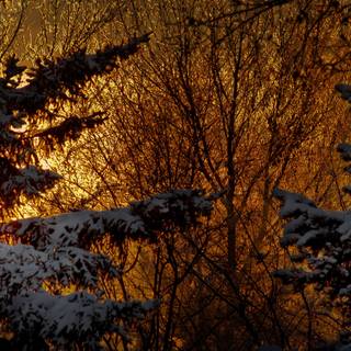 Night light winter wallpaper