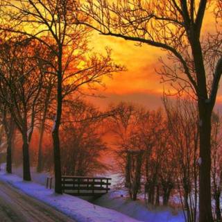 Winter sunset desktop wallpaper