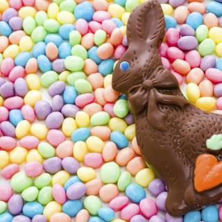 Chocolate Easter bunny wallpaper