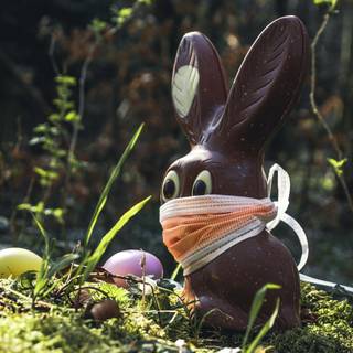 Chocolate Easter bunny wallpaper
