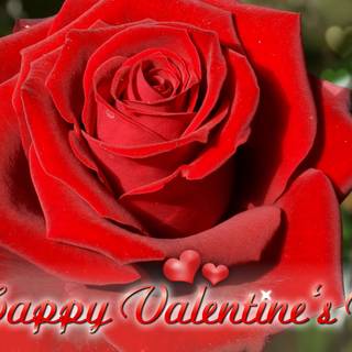 Happy Valentine’s Day flowers wallpaper