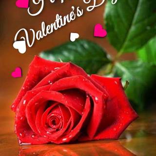 Happy Valentine’s Day flowers wallpaper