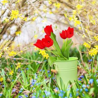 Spring rainbow umbrella wallpaper