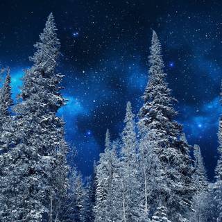 Winter sky PC wallpaper