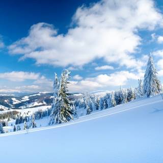 Winter sky PC wallpaper