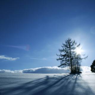 Winter sky PC wallpaper