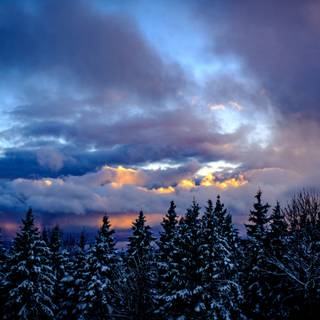 Winter sky PC wallpaper