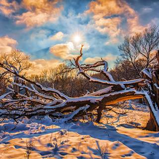 Winter sky PC wallpaper