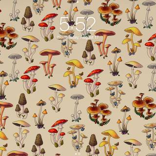 Desktop mushroom wallpaper