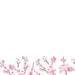 Minimalist spring 2560x1440 wallpaper