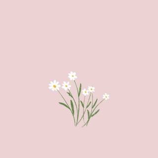 Spring season minimalist wallpaper