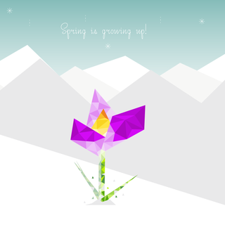 Minimalist spring 2560x1440 wallpaper