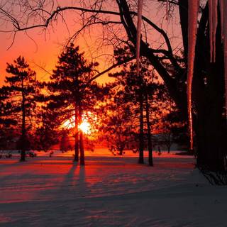 Winter sunset landscape wallpaper