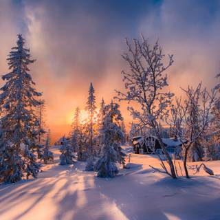 Winter sunset landscape wallpaper
