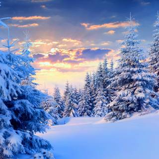 Winter sunset landscape wallpaper