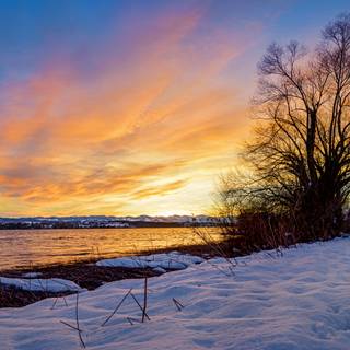 Winter sunset landscape wallpaper