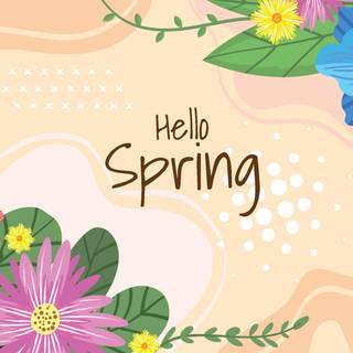 Hello spring PC wallpaper