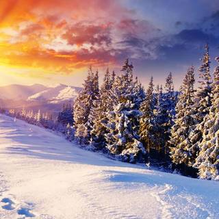 Winter sunset landscape wallpaper