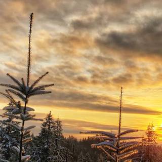Winter sunset landscape wallpaper